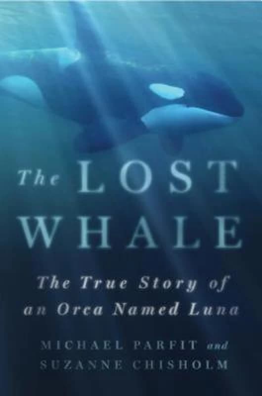 The Lost Whale by Michael Parfit and Suzanne Chisholm Book