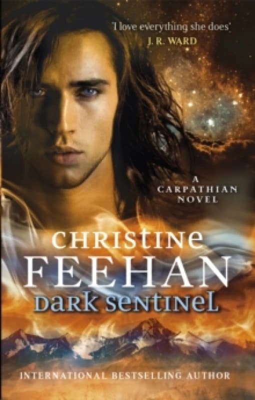 Dark Sentinel. Paperback. By Christine Feehan Books