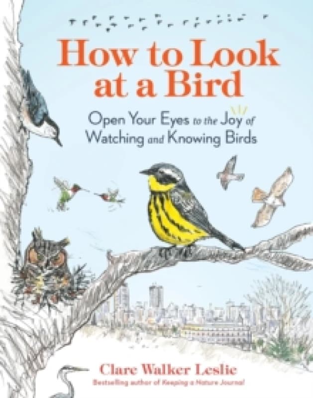 How to Look at a Bird : Open Your Eyes to the Joy of Watching and Knowing Birds Paperback / softback