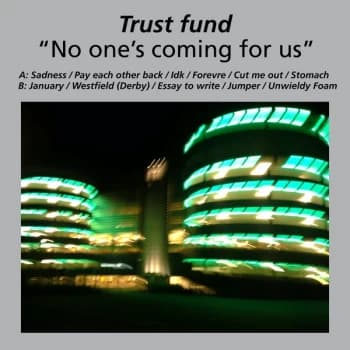 Trust Fund - No One's Coming For Us Vinyl