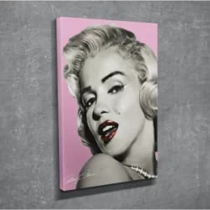 DC221 Multicolor Decorative Canvas Painting