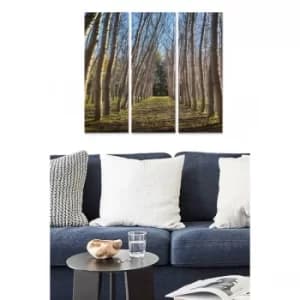 MDF3869365 Multicolor Decorative MDF Painting (3 Pieces)