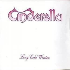 Long Cold Winter CD Album