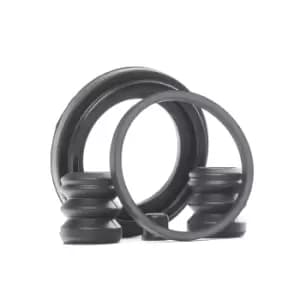 AUTOFREN SEINSA Brake Caliper Repair Kit BMW,FIAT,PEUGEOT D4130 34111154440,34111157043,442761