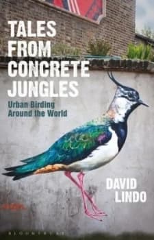Tales from Concrete Jungles by David Lindo Hardback