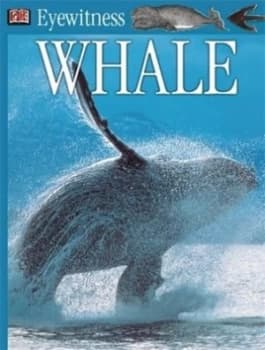 Whale by Vassili Papastavrou Book