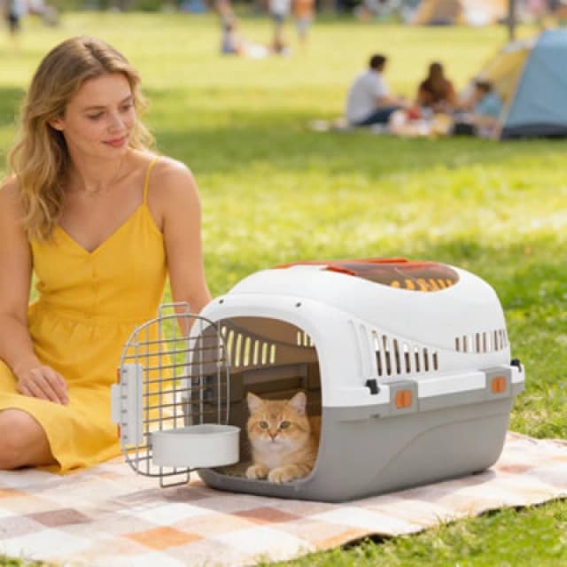 Pawhut Plastic Pet Carrier, Top Load Hard Shell Cat Carrier, Max 4 Kg