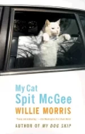 my cat spit mcgee