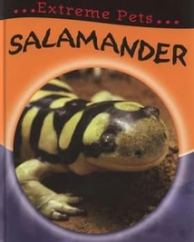 Salamander by Clare Hibbert Hardback