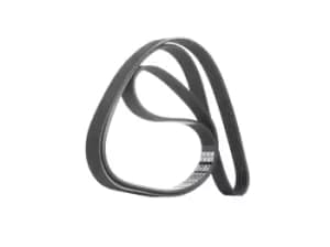 DAYCO V-ribbed belt 6PK1740 Serpentine belt,Auxiliary belt FORD,FIAT,PEUGEOT,FOCUS (DAW, DBW),FOCUS Kombi (DNW),FUSION (JU_),FOCUS Stufenheck (DFW)