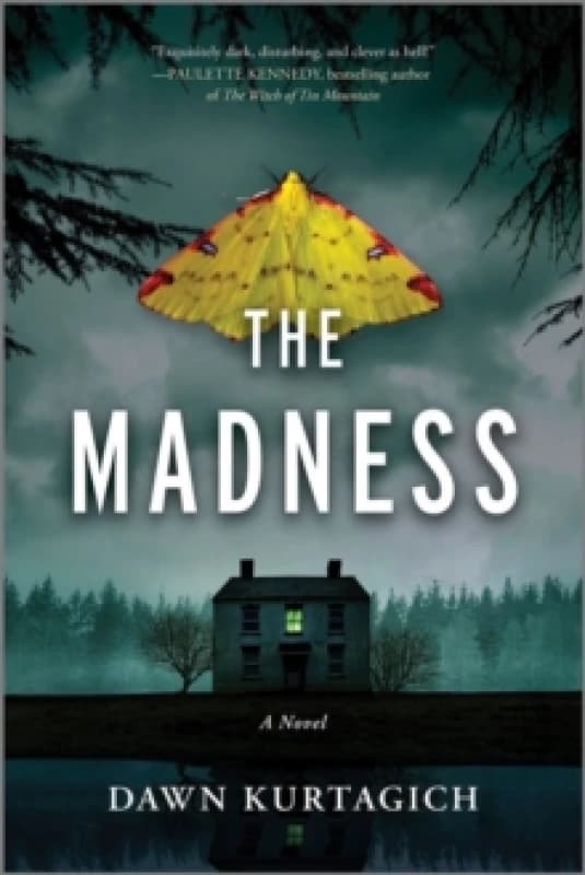 The Madness : A Novel Paperback / softback