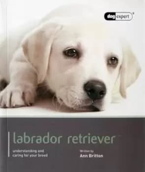Labrador Retriever - Ann Britton - Paperback - Used