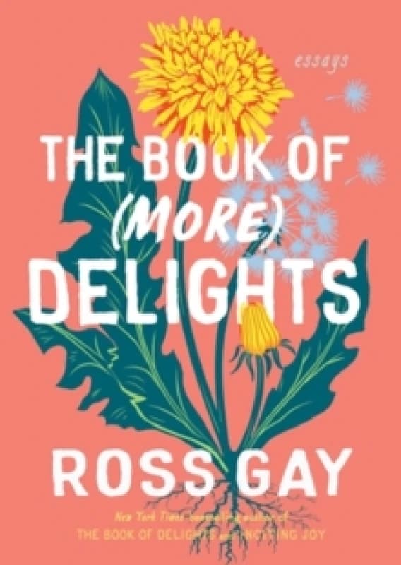 The Book of (More) Delights : Essays Hardback