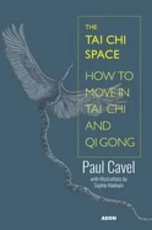 tai chi space how to move in tai chi and qi gong