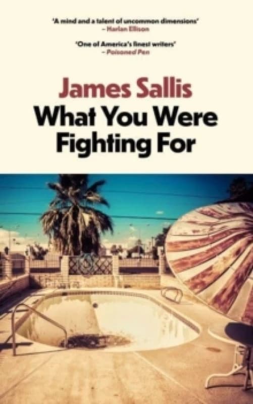 What You Were Fighting For Paperback / softback