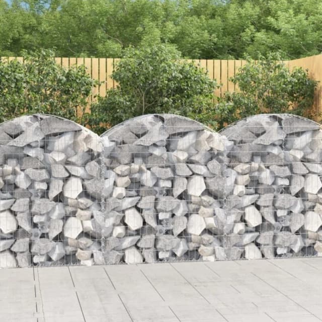 VIDAXL Vidaxl - Arched Gabion Basket 100x50x100/120cm Galvanised Iron 8720845650988