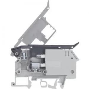 Fuse clip 57.904.5355.0 Wieland Content