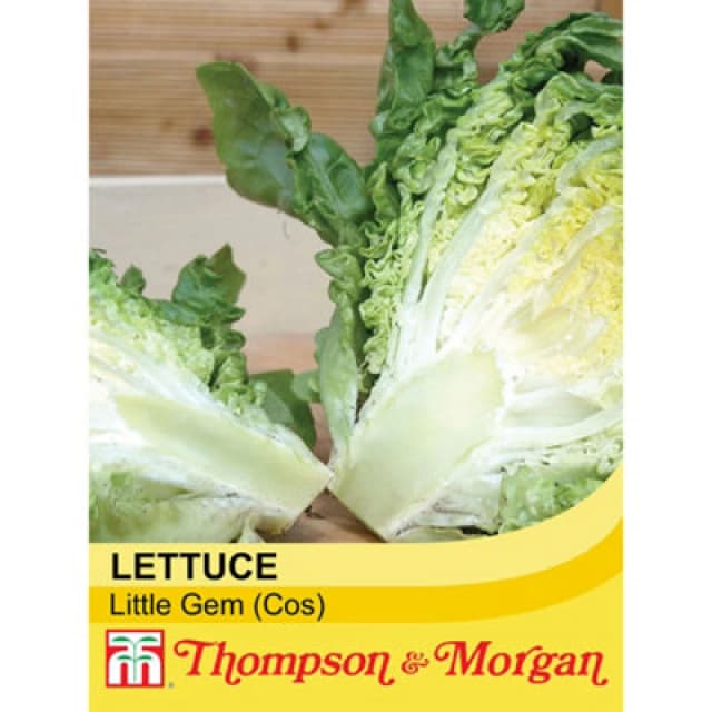 Thompson & Morgan Lettuce (Romaine/cos) Little Gem 1 Seed Packet (1000 Seeds)