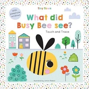 What did Busy Bee see? Hardback 2018