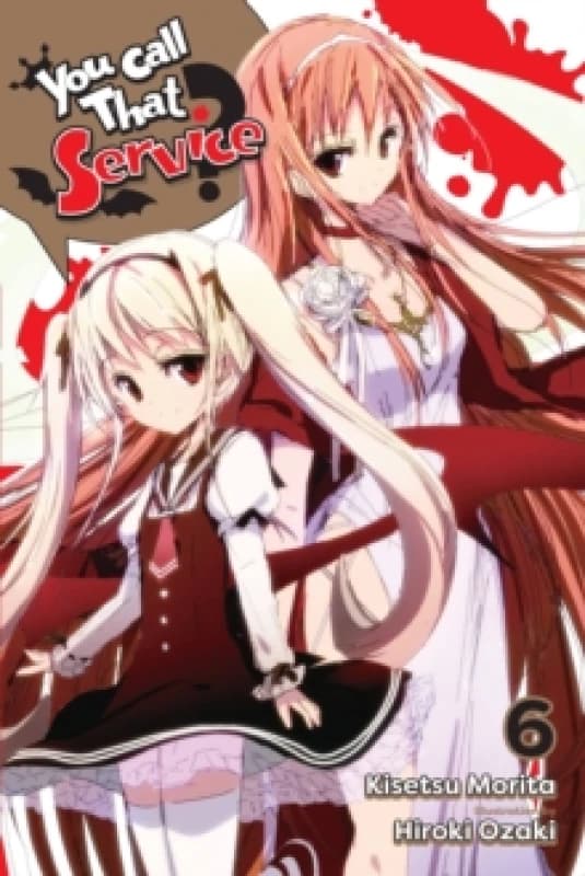 You Call That Service?, Vol. 6 (light novel) Paperback / softback