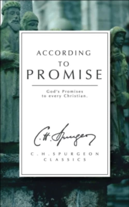 According to Promise : God's Promises to Every Christian Paperback / softback