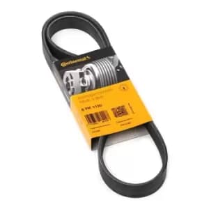 CONTITECH V-ribbed belt 6PK1130 Serpentine belt,Auxiliary belt VW,AUDI,MERCEDES-BENZ,Golf VII Schragheck (5G1, BQ1, BE1, BE2)