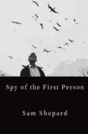 spy of the first person