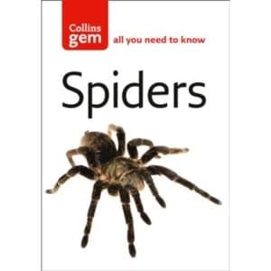 Spiders by Paul Hillyard Paperback