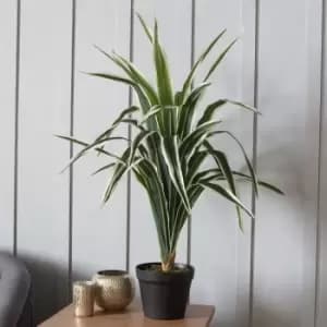 Crossland Grove Faux Dracaena 800Mm