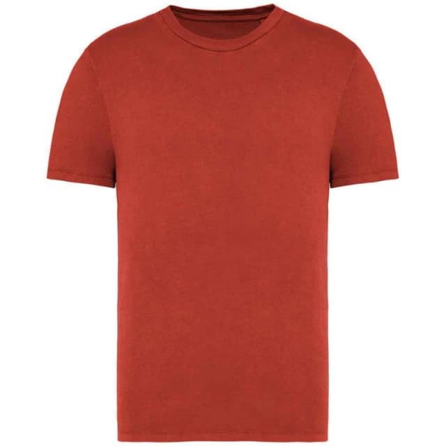 Native Spirit Mens Faded T-Shirt in Crimson Size: XS Crimson Male XS