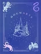 harry potter bullet journal