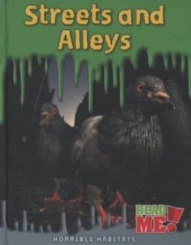 Streets and Alleys by Sharon Katz Cooper Hardback