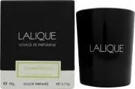 Lalique Candle 190g - Osmanthus Himalaya