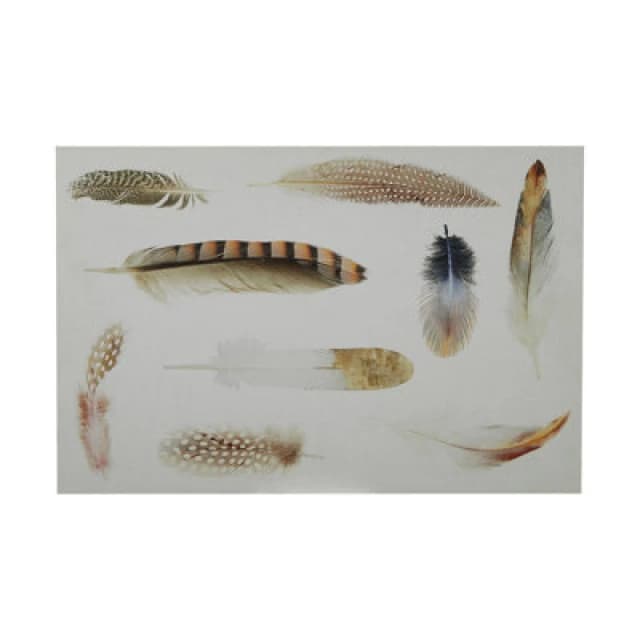 Premier Housewares Feather Wall Plaque Home Wall Decor White