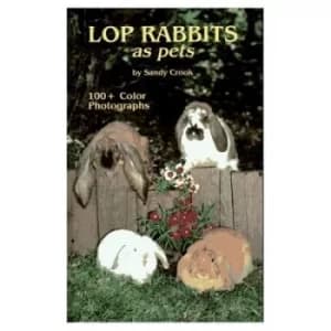 Lop Rabbits as Pets by Sandy Crook