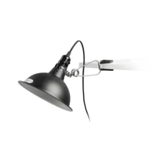 Pepper 1 Light Table Clip On Lamp Black, E27