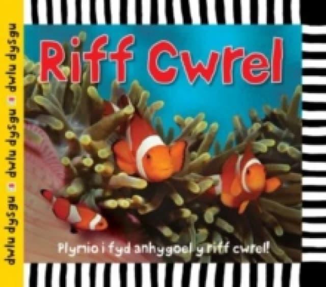Cyfres Dwlu Dysgu: Riff Cwrel Hardback