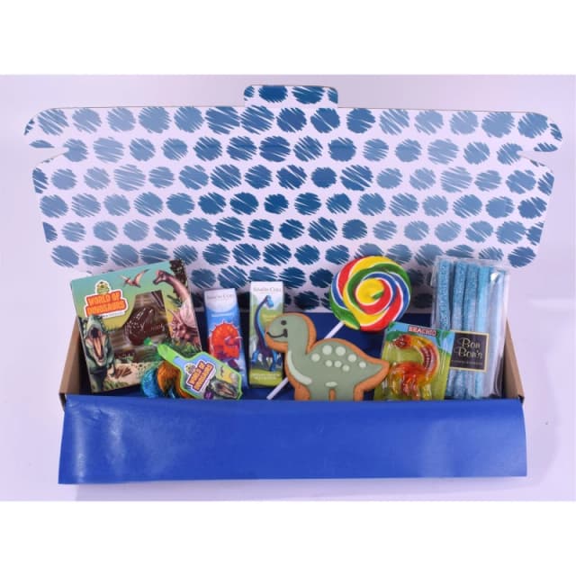 Spicers of Hythe Dinosaur Gift Box Multi unisex One Size