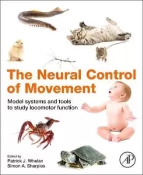 The Neural Control of Movement by Patrick J. Whelan