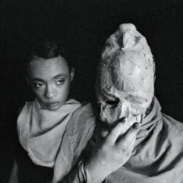 Formal Growth in the Desert Vinyl