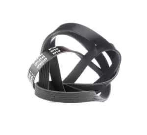 RIDEX V-ribbed belt VW,MERCEDES-BENZ,BMW 305P0178 51768740,51780011,11288570646 53013352AC,0089972292,0089973892,0119972892,A0089972292,A0089973892