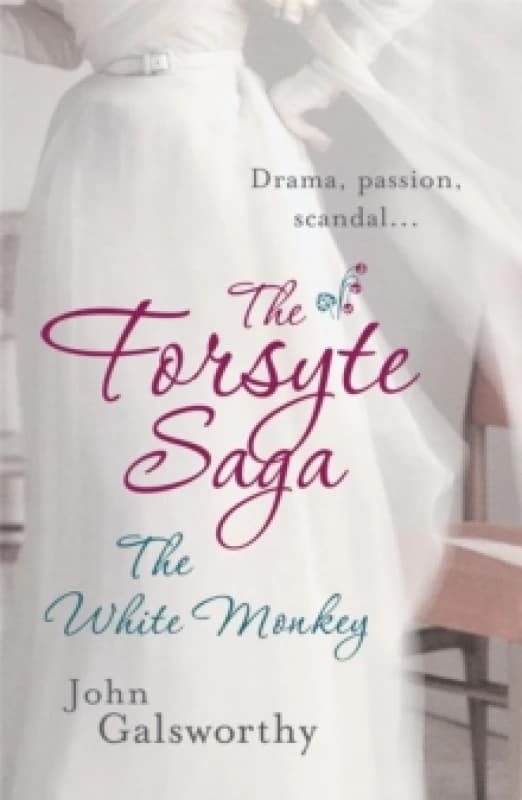 The Forsyte Saga 4: The White Monkey Paperback / softback
