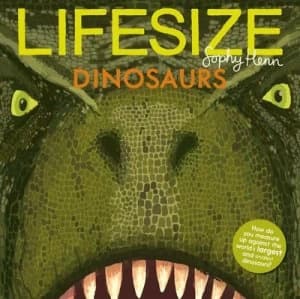 Lifesize by Sophy Henn