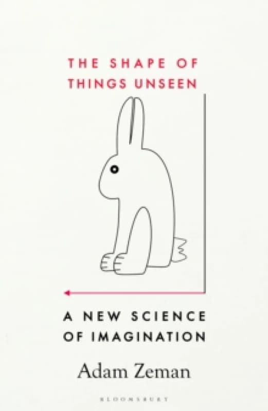 The Shape of Things Unseen : A New Science of Imagination Hardback