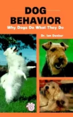 dog behavior why digs do what they do
