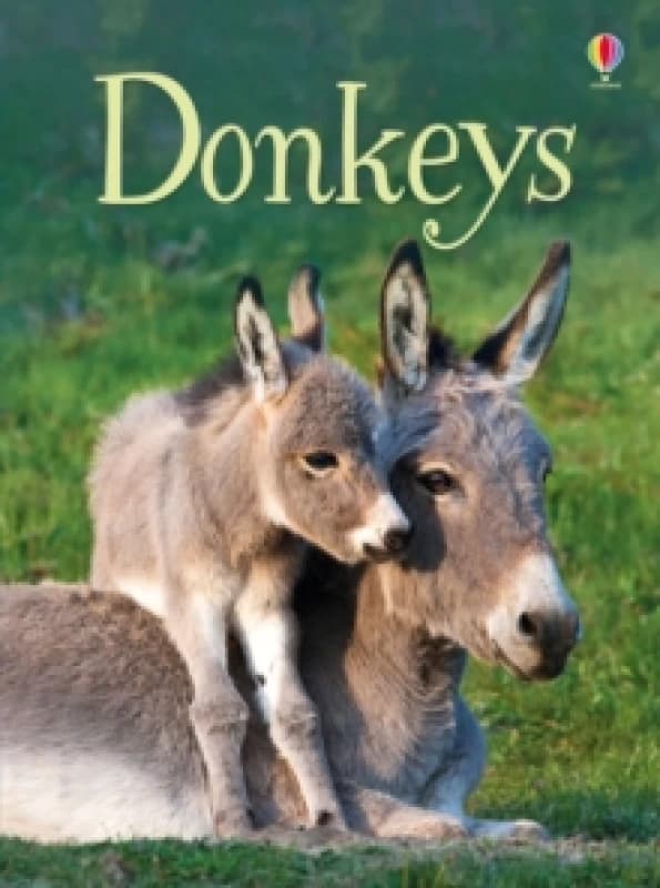 James Maclaine Donkeys Book Multi unisex