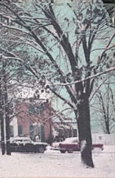 Last Train to Memphis Paperback