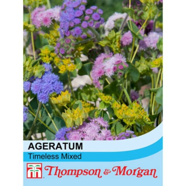 Thompson & Morgan Ageratum Houstonianum Timeless Mixed 1 Seed Packet (100 Seeds)