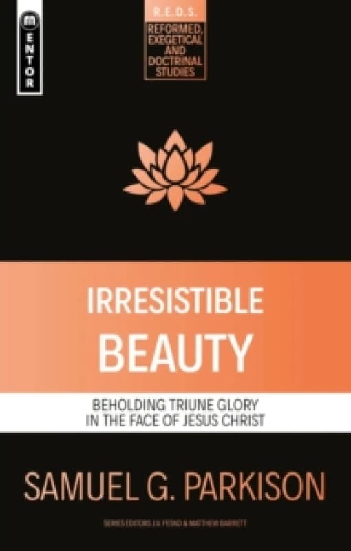 Irresistible Beauty : Beholding Triune Glory in the Face of Jesus Christ Paperback / softback