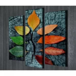 UC67 Multicolor Decorative Canvas Painting (3 Pieces)